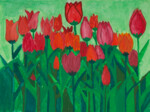 Tulpen