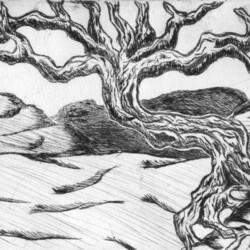 Landschaft mit knorrigem Baum