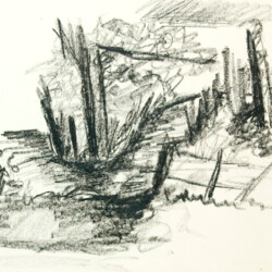 Projektarbeit Klasse 10 - 12