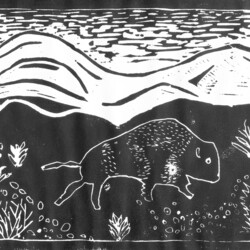 Das Leben der Indianer in Amerika