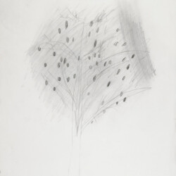 Pflanzliches: Baumtest nach Koch