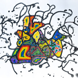 Wie sich der Schmetterling in der Puppe die Flügel näht