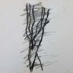 2020-2023 Schulkunstthema Natur und Zeit