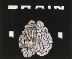 Gehirn