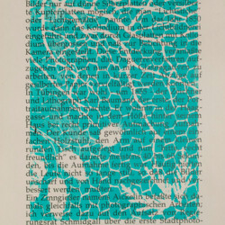 Tübinger Ansichten in Photographie und Siebdruck von 1864 bis 1994