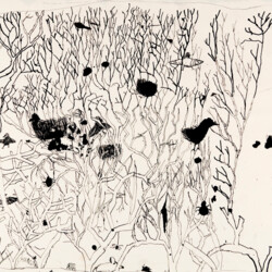 Was ist denn in der Hecke los?