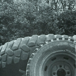 1984 Architektur + Natur