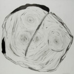 Pflanzliches: Jahresringe