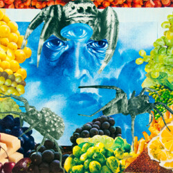 Surrealistisches Stillleben