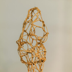 Metamorphose - Kokon in sämtlichen Stadien