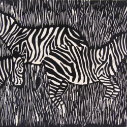 Zebras