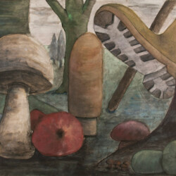 Pilze: Makroperspektive