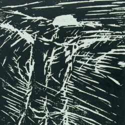 Projektarbeit Klasse 10 - 12