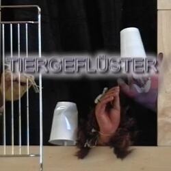 02: Tiergeflüster
