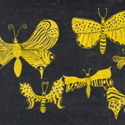 Schmetterlinge