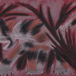 Tier: Katze auf der Pirsch