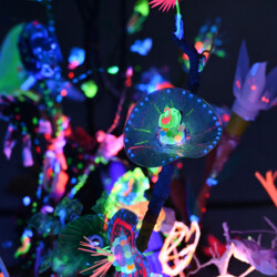 Ein Garten der besonderen Art