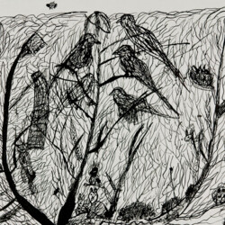 Was ist denn in der Hecke los?