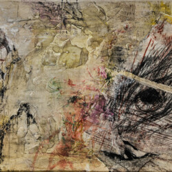 Spuren - Formsuche der Natur