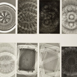 Fotogramm: Materialqualität durchsichtig - undurchsichtig