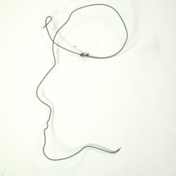 Porträt: Drahtzeichnung