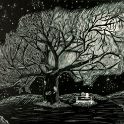 Landschaft bei Nacht