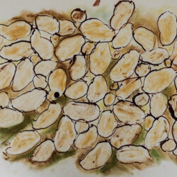 Kartoffeln im Erdreich