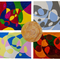 Jahreszeiten und Jahresringe