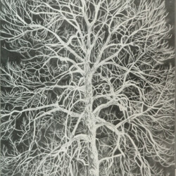 1984 Architektur + Natur