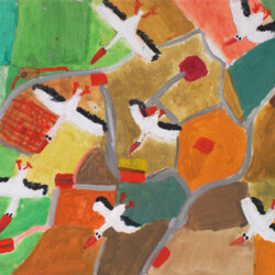 Vögel und Landschaft von oben