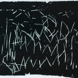 2011:  Bilder aus Holz