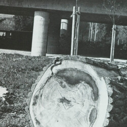 1984 Architektur + Natur